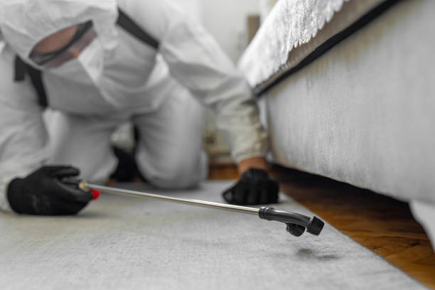 Professional Mosquito Control technician working in Willis, TX