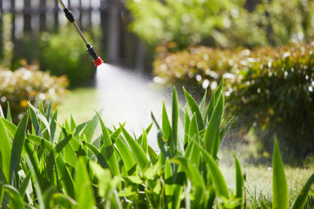 24/7 Emergency Mosquito Control experts in Willis, TX