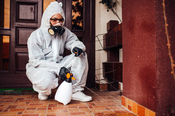 Reliable Mosquito Control contractor in Willis, TX by Nex Pest Control