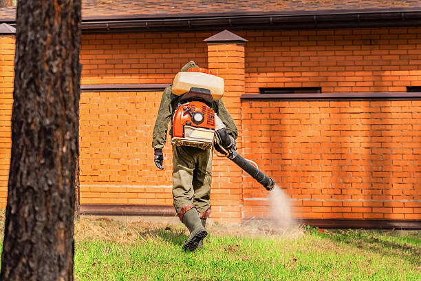 Top rated local Mosquito Control specialists in Willis, TX